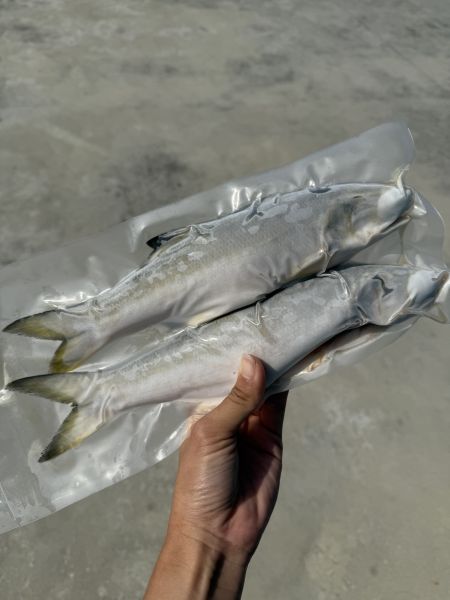 午仔魚（3尾/包） 