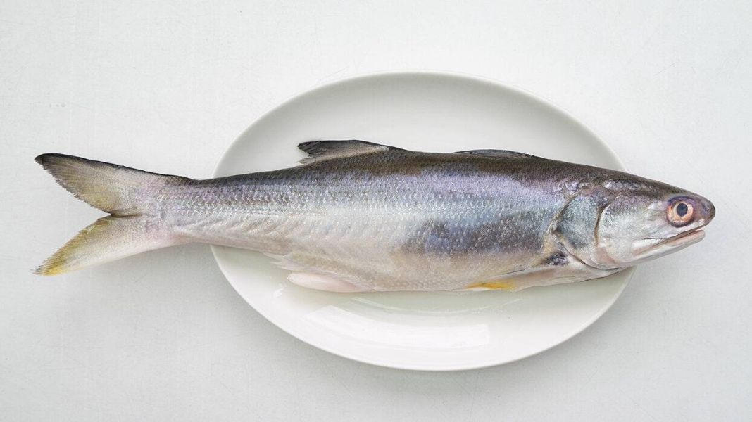 午仔魚（3尾/包） 