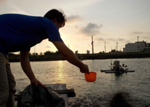蒲燒鰻（禮盒4入裝/單片） 蒲燒鰻,鰻魚,口湖鄉