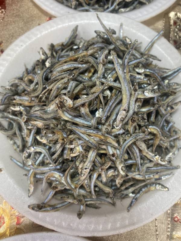 丁香魚 