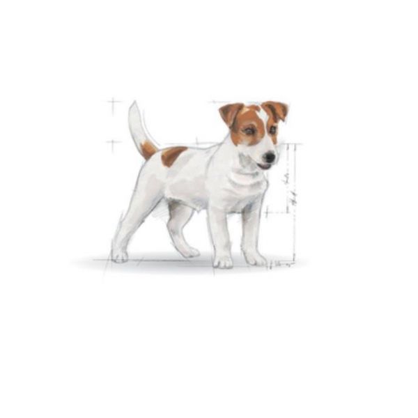 法國皇家MNA小型成犬配方 