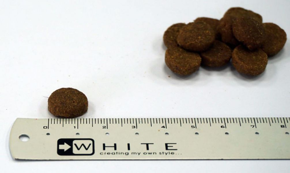 愛肯拿-農場饗宴嘴犬無穀配方(雞+火雞) 