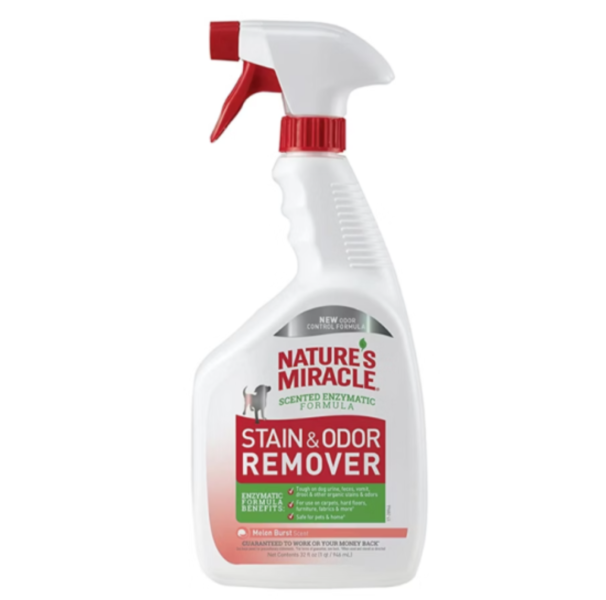 自然奇蹟酵素去漬除臭噴劑甜瓜945ml 