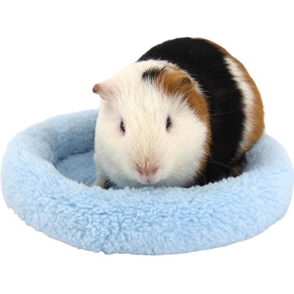 小動物棉墊圓窩 