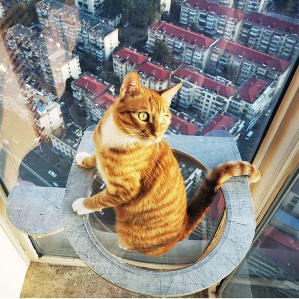 JOYCAT吸盤木架太空艙吊床 