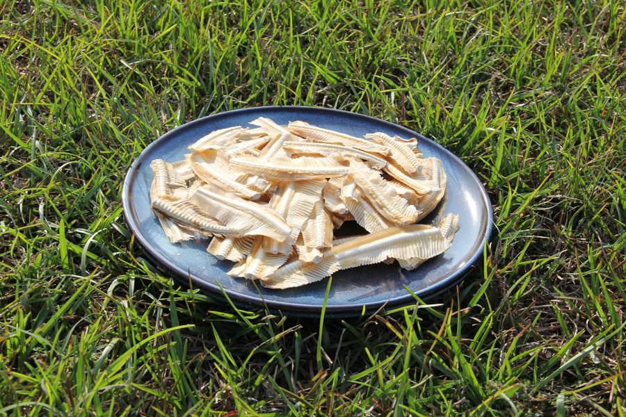 寵鮮灶腳手工零食 