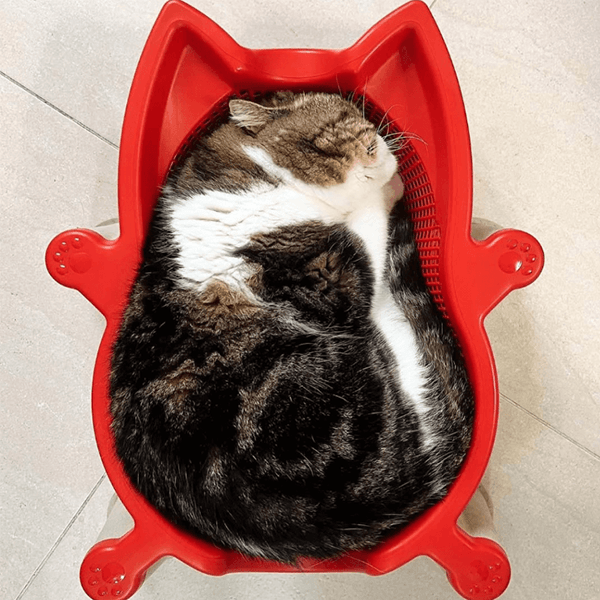 CatBang貓籃 