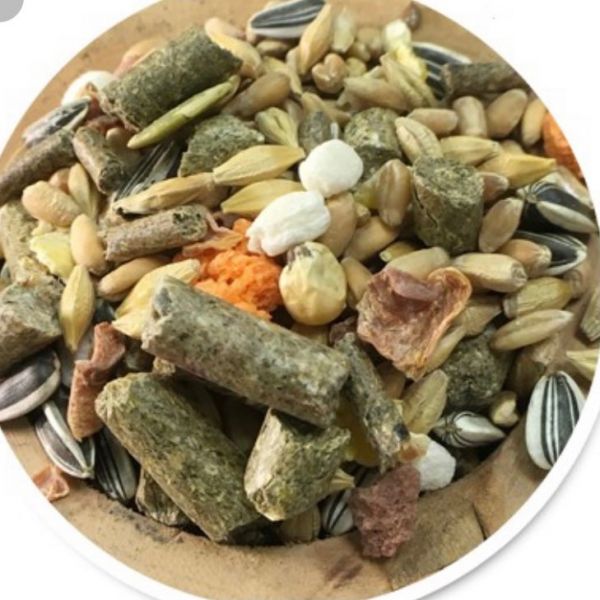 LOLO營養滿分寵物鼠主食600g 