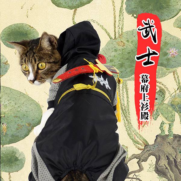 KOJIMA幕府武士 