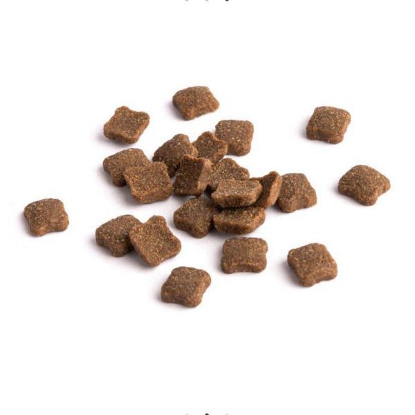 倍力S30犬用羊肉+南瓜關節保健低敏 