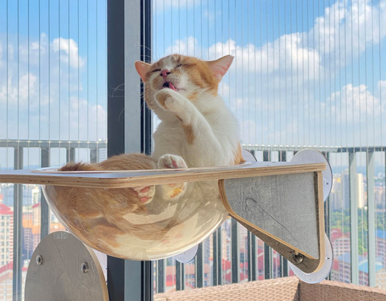 JOYCAT吸盤木架太空艙吊床 