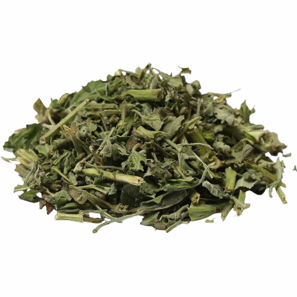 CatFeet茨木草(銀) 