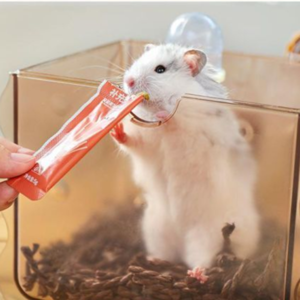 卡諾小寵餅乾外出箱+水壺 