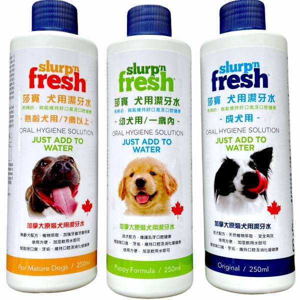 莎賓犬用潔牙水250ml 