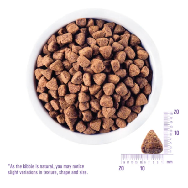 WELLNESS CORE無榖成犬-羊肉4LB 