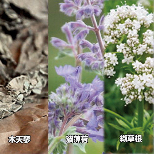 臭咪樂毛毛雪貂貓草玩具(熱銷臭襪子貓紓壓玩具) 