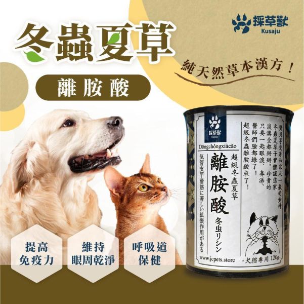 採草獸冬蟲夏草離胺酸120g支氣管 