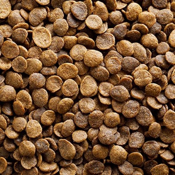 梅亞奶奶無穀犬糧4LB羊肉 
