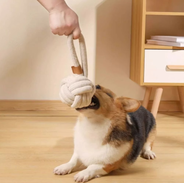 M-PETS天然棉環形潔牙球(3色) 