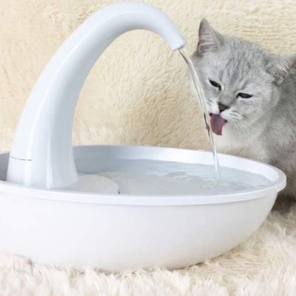 天鵝飲水機 