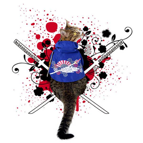 KOJIMA幕府武士 