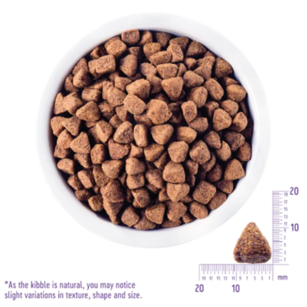 WELLNESS CORE無榖成犬-深海魚4LB 