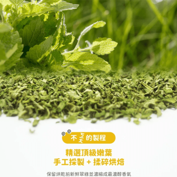 餵我貓薄荷葉10g 