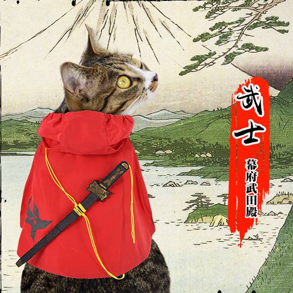 KOJIMA幕府武士 