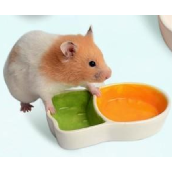 小號胡蘿蔔分隔碗 