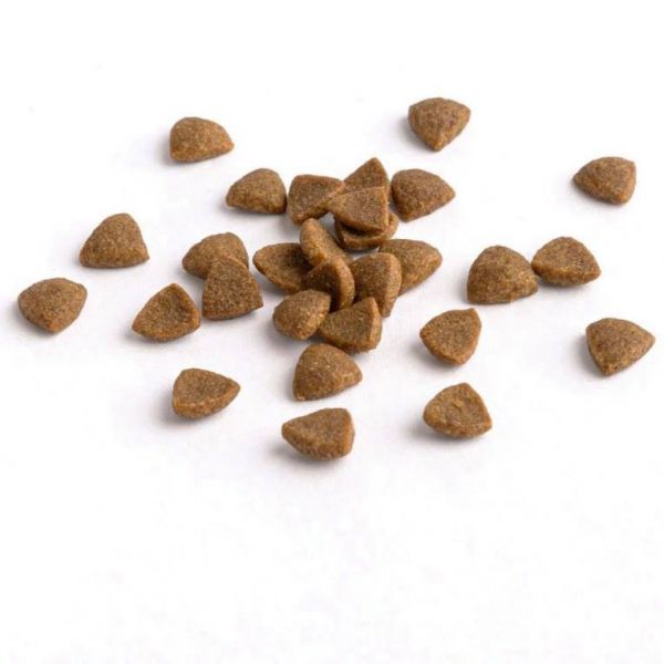 倍力S30犬用鮭魚+甜薯舒敏 