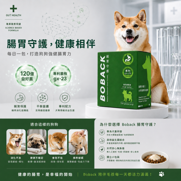 波貝克-狗用腸胃保健粉(1g*31包/盒) 