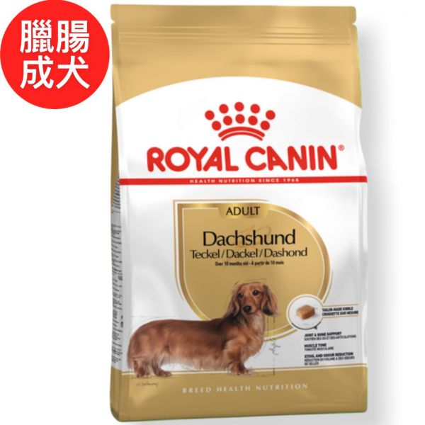 法國皇家DSA 臘腸成犬 