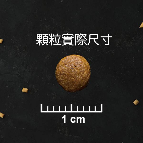 特百滋TAPAZO凍乾雙饗宴全齡貓低敏鮭魚 