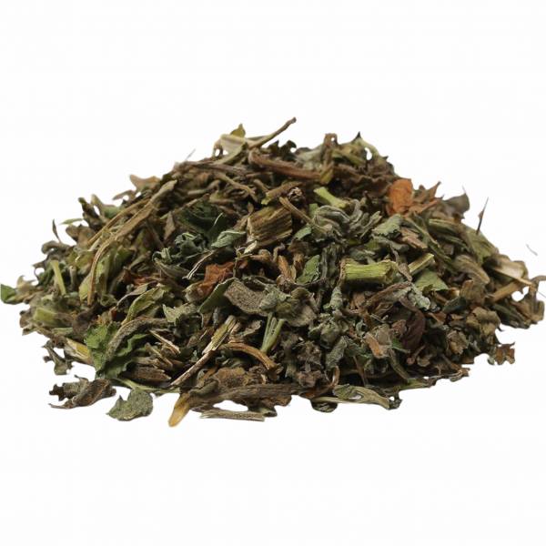 CatFeet茨木草(銅) 
