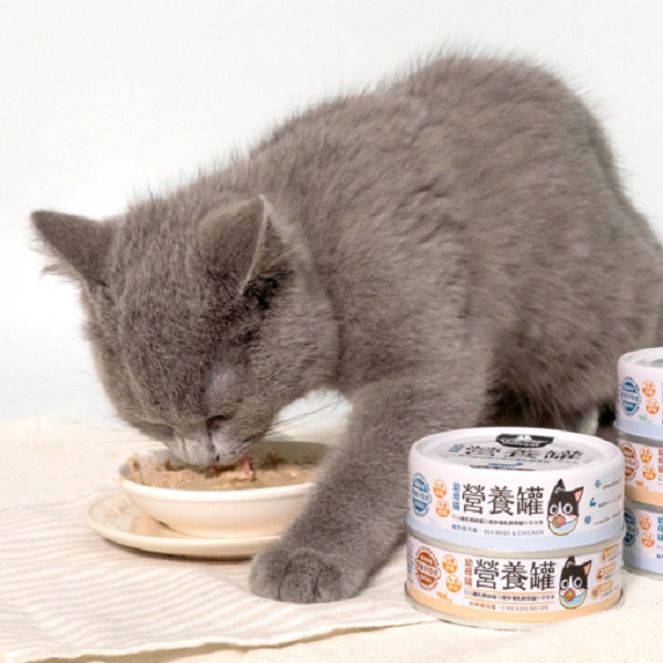 汪喵星球幼母貓營養主食罐80g 