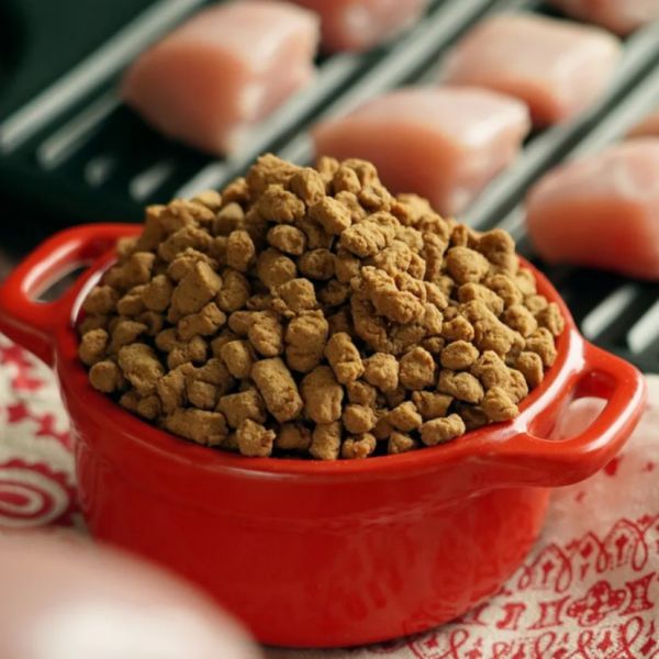 怪獸部落貓族98%鮮肉主食糧 