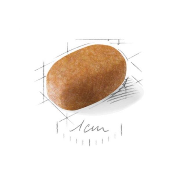 法國皇家MTA瑪爾濟斯成犬1.5公斤 