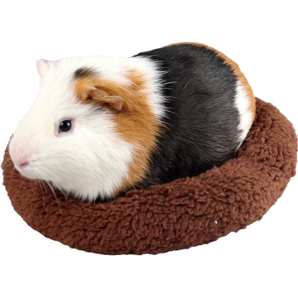 小動物棉墊圓窩 