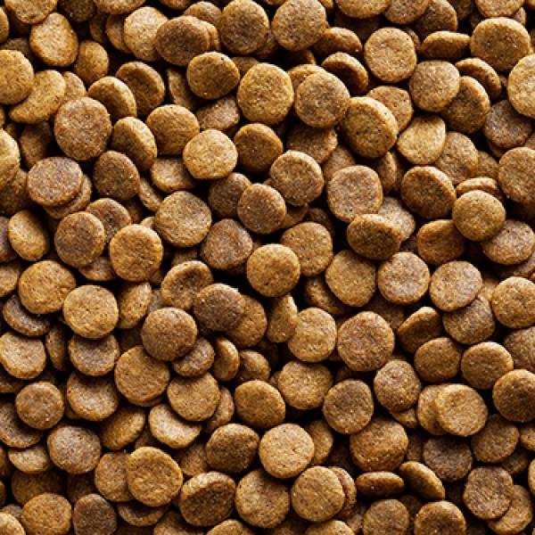 梅亞奶奶無穀犬糧4LB嫩雞 