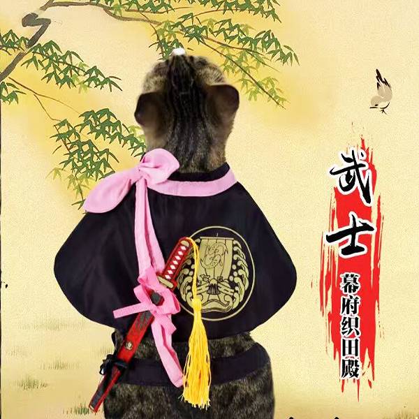 KOJIMA幕府武士 