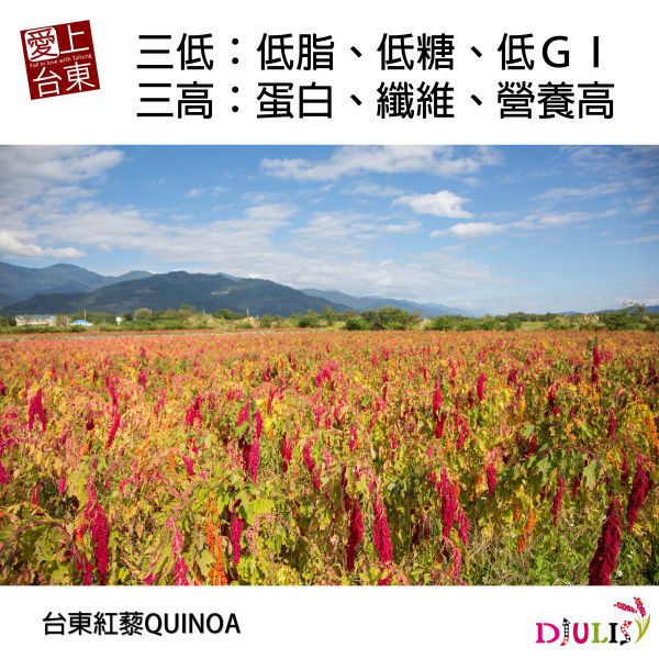 德朱利斯 Djulis X 紅藜核桃糕(全素)250克/包 