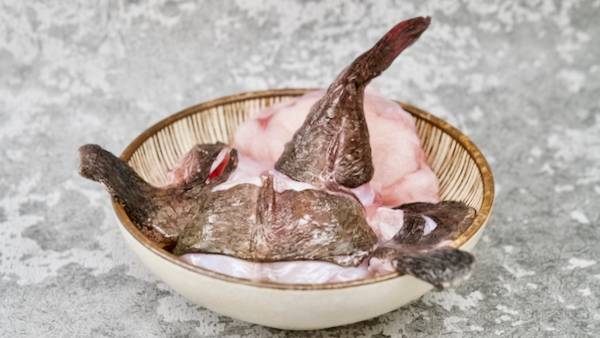 野生安康魚 冷凍宅配,冷凍宅配推薦,冷凍宅配到府,海鮮宅配,冷凍海鮮,安康魚,野生安康魚,安康魚料理,安康魚價格,安康魚好吃嗎,安康魚營養,安康魚火鍋,安康魚湯,