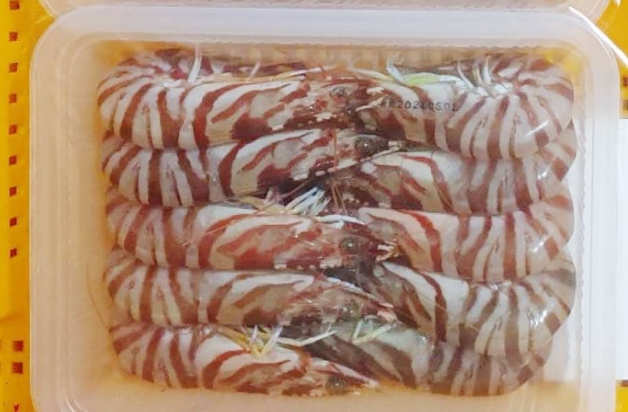 活凍野生明蝦 冷凍宅配,冷凍宅配推薦,冷凍宅配到府,海鮮宅配,冷凍海鮮,明蝦,明蝦料理,明蝦口感,明蝦價格,野生明蝦,明蝦季節, 明蝦哪裡買, 明蝦生食,大溪漁港
