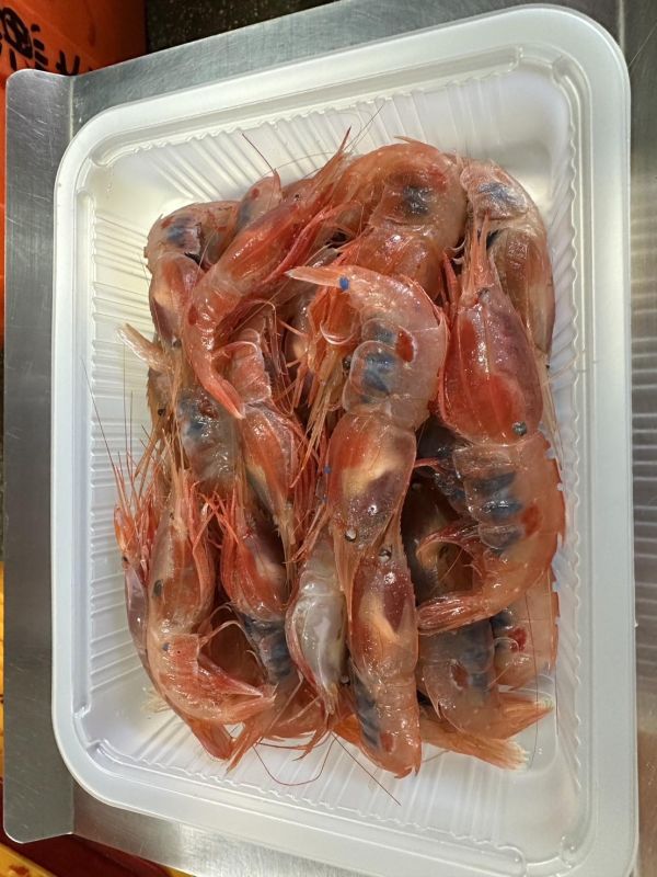 野生蝦母(台灣牡丹蝦） 冷凍宅配,冷凍宅配推薦,冷凍宅配到府,海鮮宅配,冷凍海鮮,蝦母,野生蝦母,蝦母,蝦母料理,宜蘭蝦母,海鮮蝦母