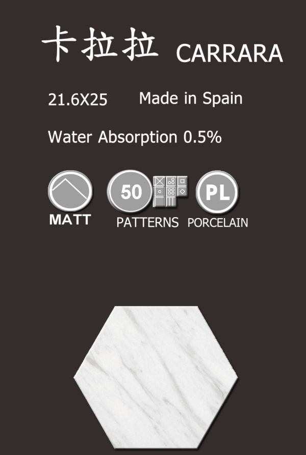 六角 卡拉拉 西班牙 進口磁磚 霧面 石英磚 六角磚 地磚 壁磚 玄關 電視牆 極簡主義 混搭 大理石紋