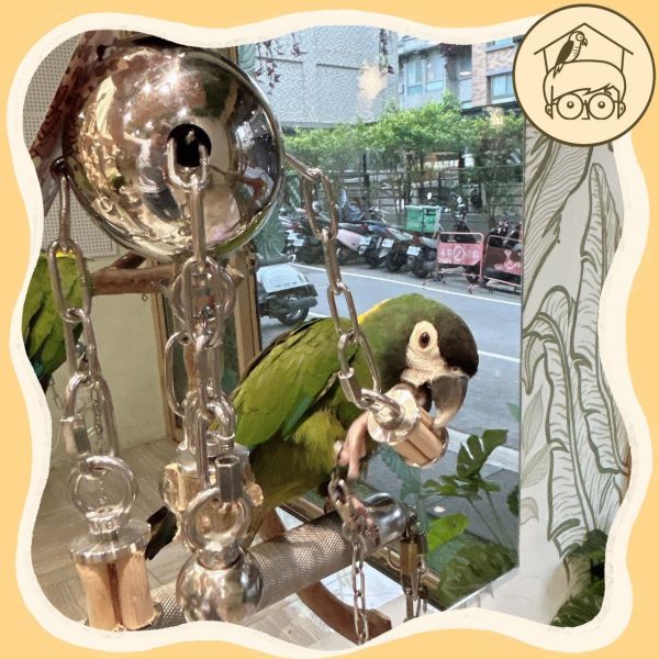 圓滾滾不銹鋼啃咬玩具串【鸚鵡小木屋】 