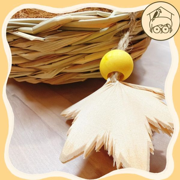 一碗鳥巢小窩鞦韆【鸚鵡小木屋】 