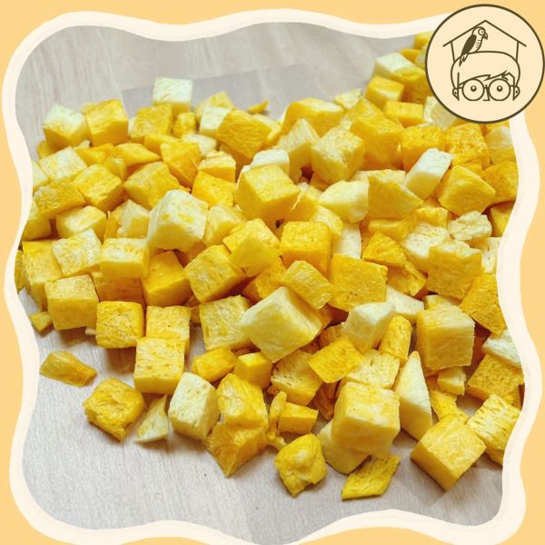 台灣｜蔬果凍乾點心區【鸚鵡小木屋】【純天然蔬果凍乾】鳥寶最愛的酥脆零食！ 