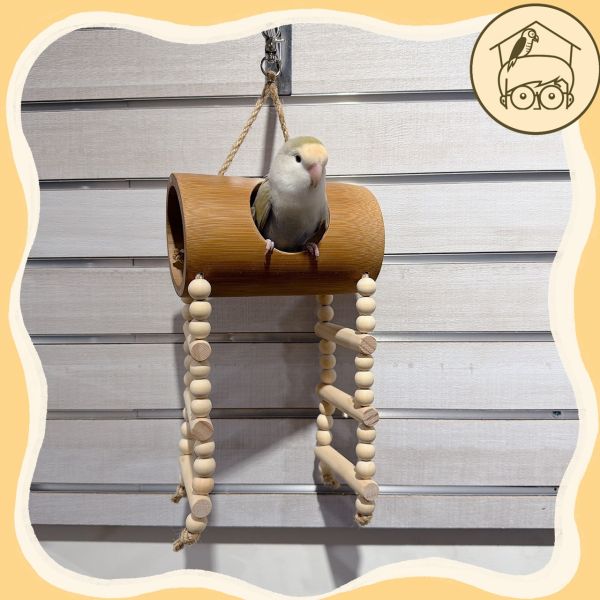 台灣手作蘋果樹系列｜趣味吊掛躲藏竹筒【鸚鵡小木屋】 