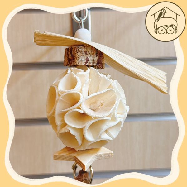 通草球桃花心木啃咬串【鸚鵡小木屋】 